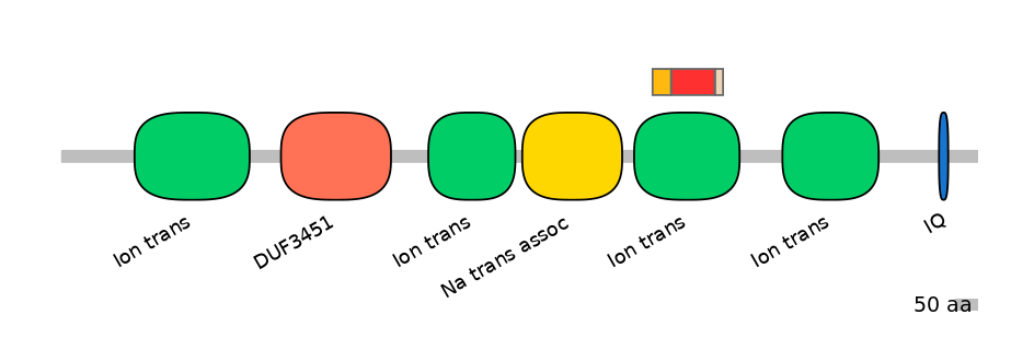 HsaEX6066581-INC