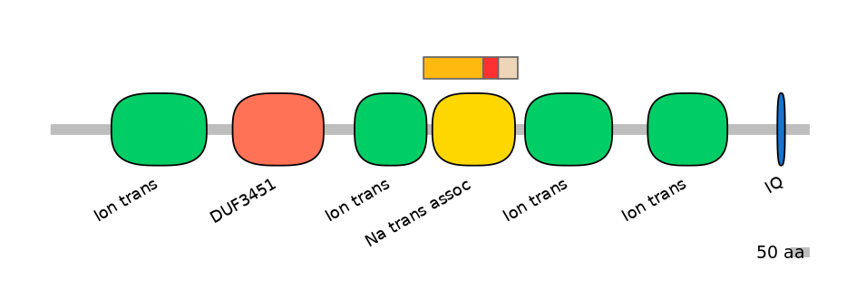 HsaEX6066583-INC