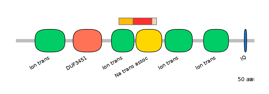 HsaEX6066584-INC
