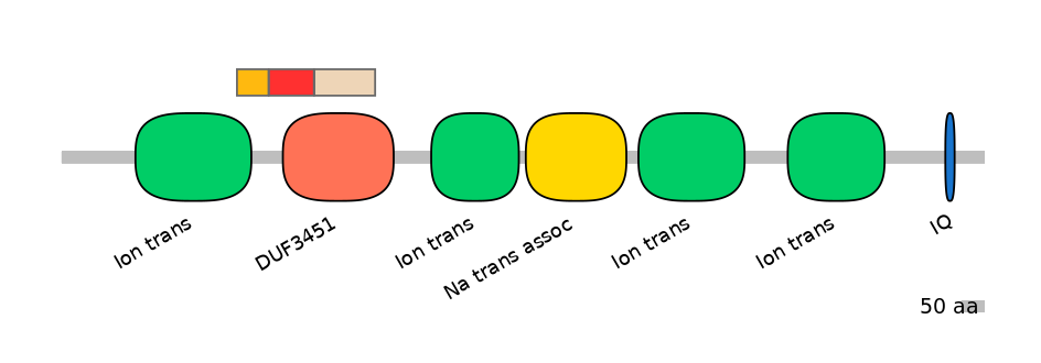HsaEX6066588-INC