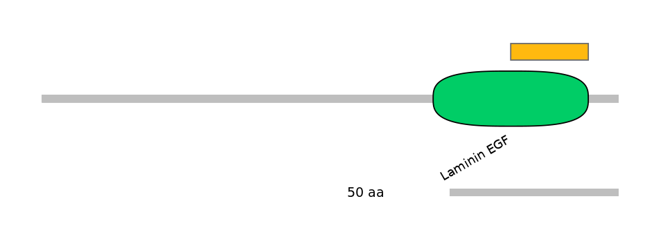 HsaEX6068739-EXC