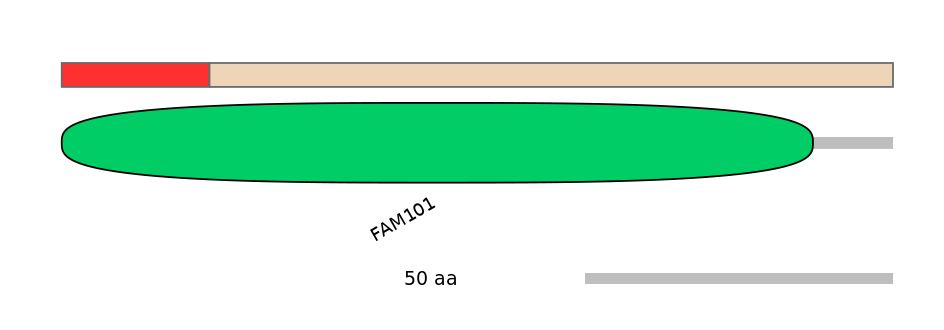 HsaEX6069989-INC