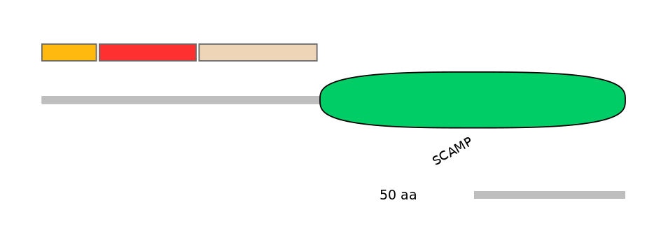 HsaEX6075829-INC
