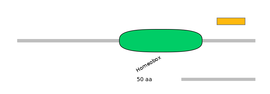 HsaEX6076688-INC