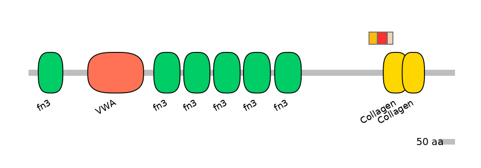 HsaEX6079160-INC