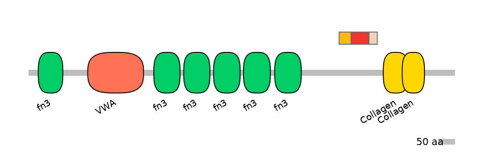 HsaEX6079162-INC