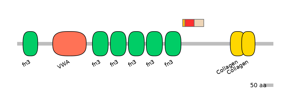 HsaEX6079165-INC