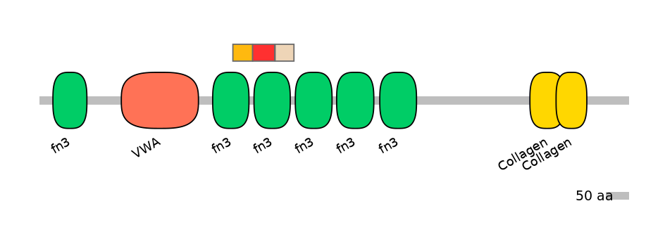 HsaEX6079172-INC