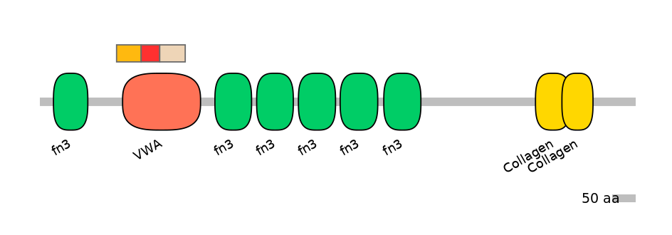 HsaEX6079177-INC