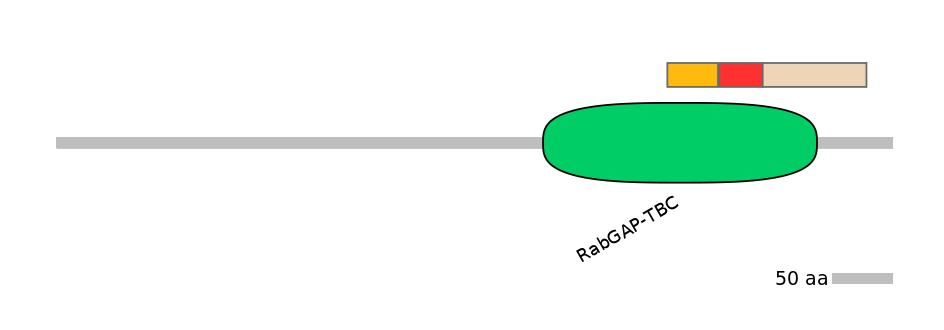 HsaEX6083490-INC