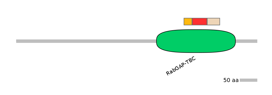 HsaEX6083491-INC