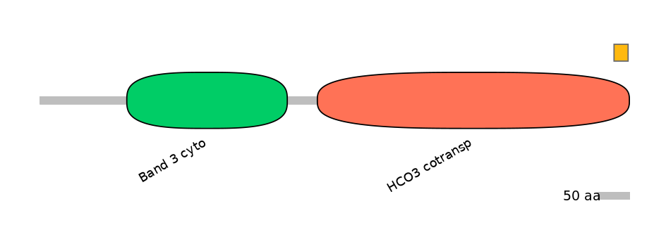 HsaEX6084747-EXC