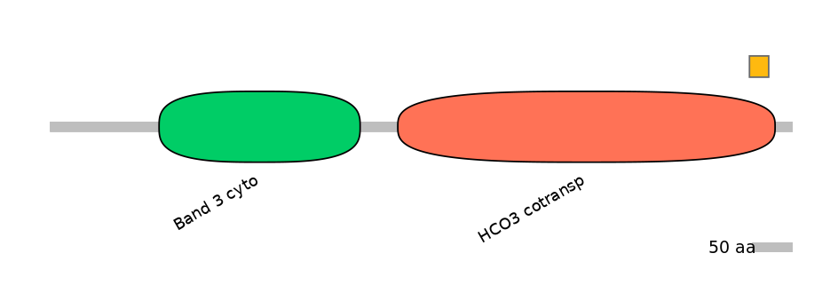 HsaEX6084748-EXC
