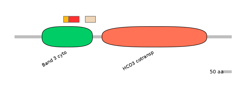 HsaEX6084756-INC