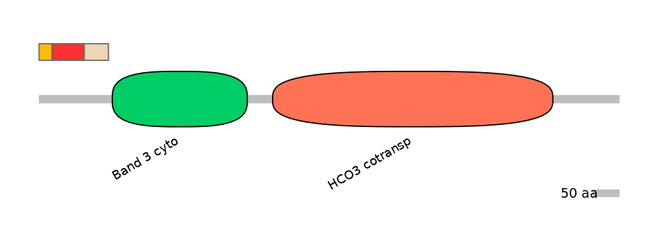 HsaEX6084760-INC