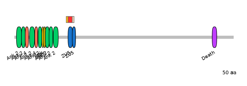 HsaEX6085882-INC