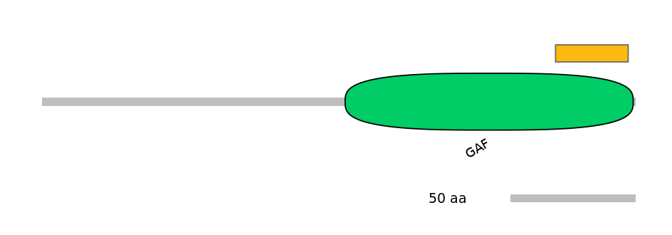 HsaEX6085989-EXC