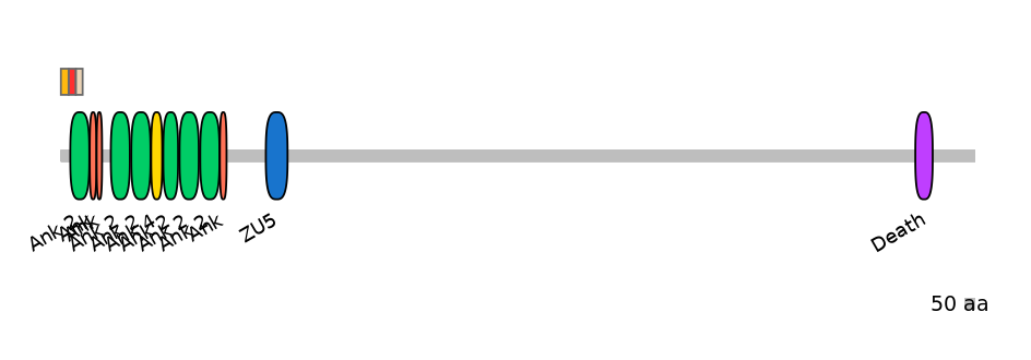 HsaEX6088508-INC