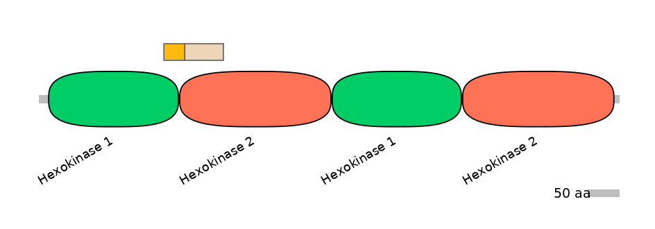 HsaEX6088715-EXC