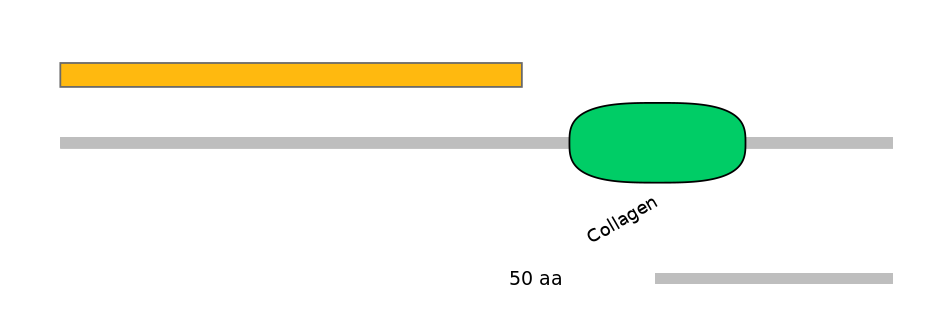 HsaEX6088753-EXC