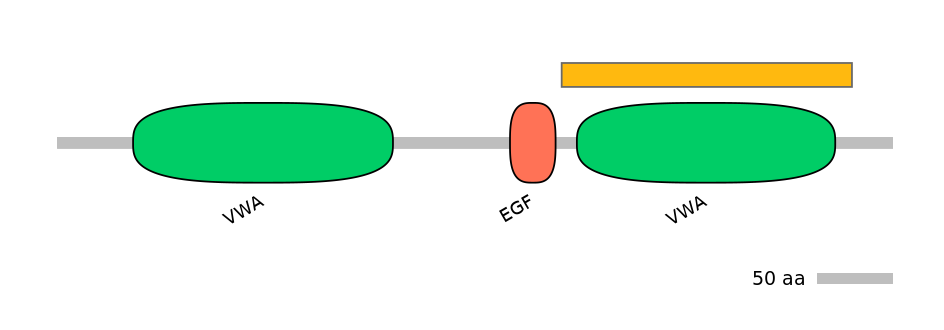 HsaEX6090626-EXC