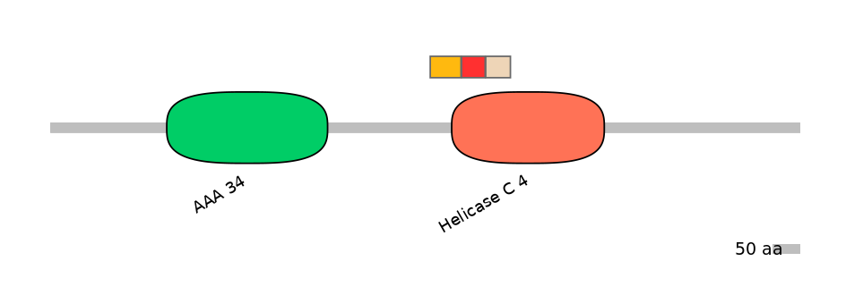 HsaEX6091497-INC