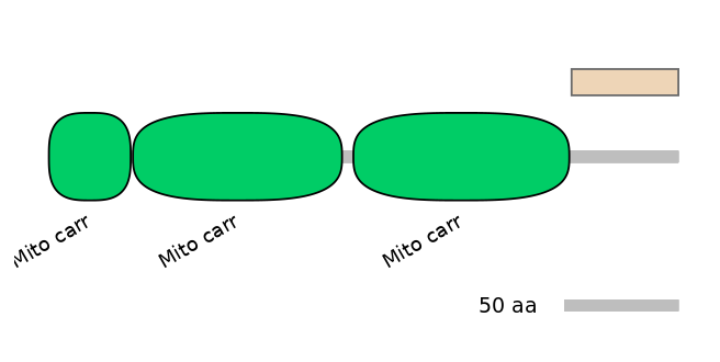 HsaEX6092262-EXC