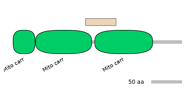 HsaEX6092265-EXC