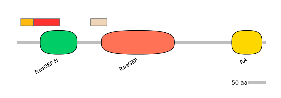 HsaEX6093067-INC