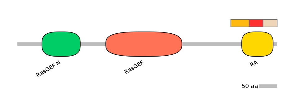 HsaEX6093074-INC
