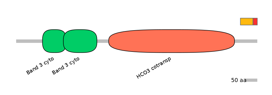 HsaEX6100179-INC