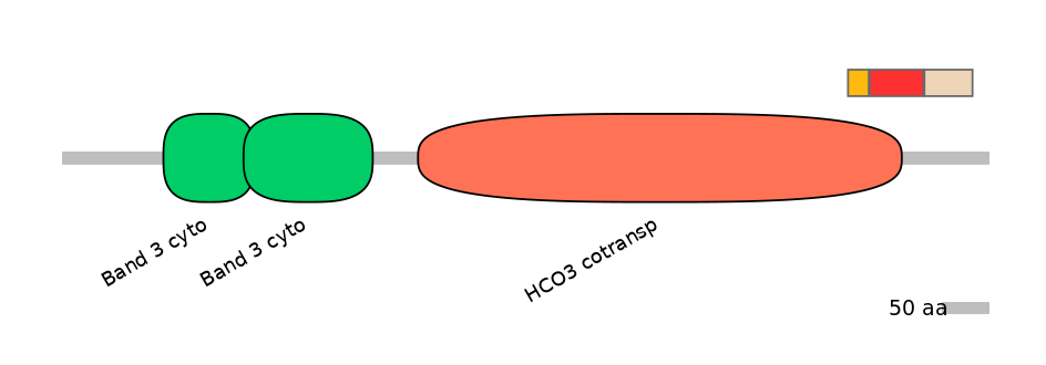 HsaEX6100181-INC