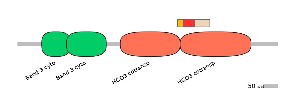 HsaEX6100186-INC