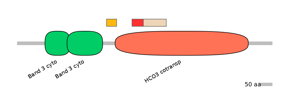 HsaEX6100189-INC