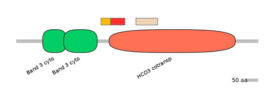 HsaEX6100190-INC