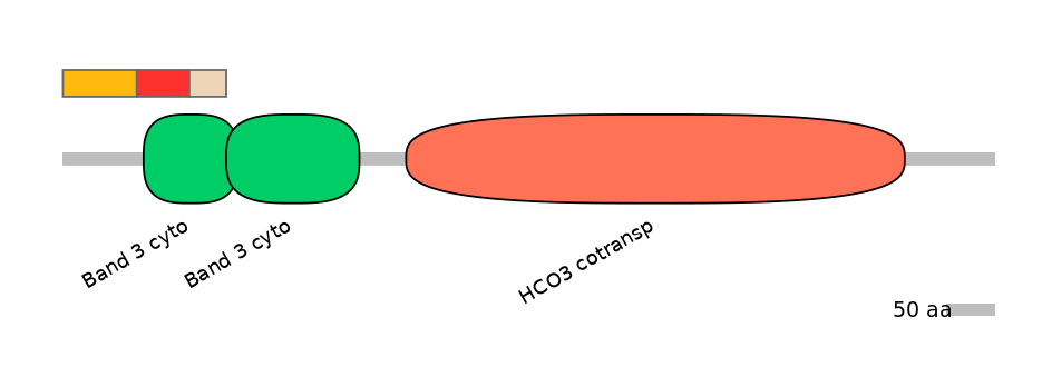 HsaEX6100197-INC