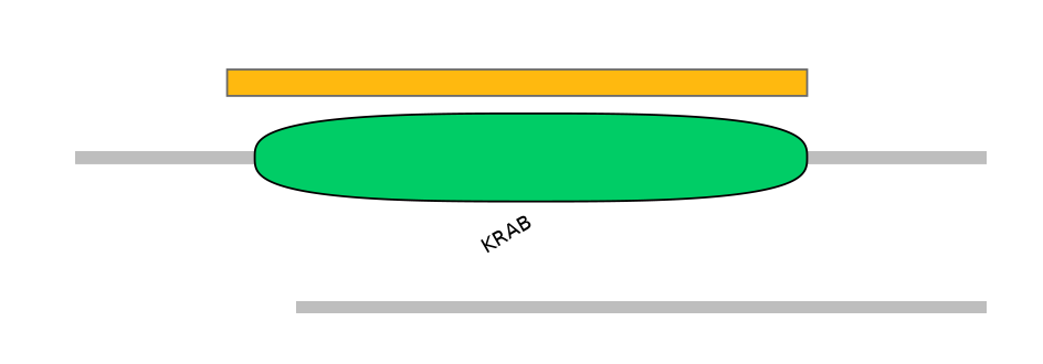 HsaEX6101511-EXC