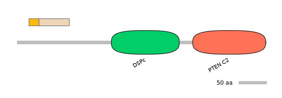 HsaEX7106901-EXC