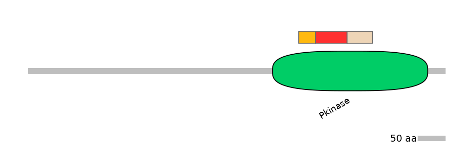 HsaEX7108214-INC