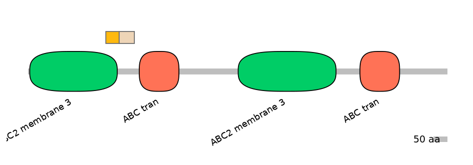 HsaINT0000412-EXC