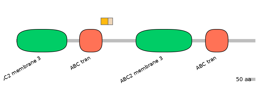 HsaINT0000418-EXC