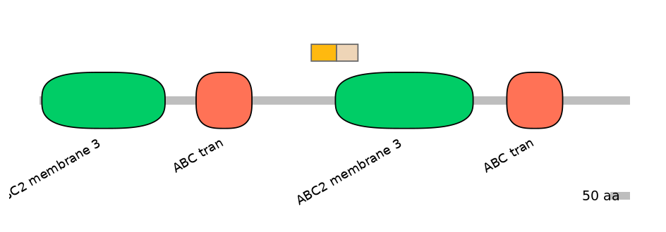 HsaINT0000423-EXC