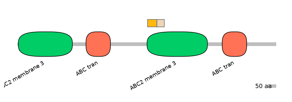 HsaINT0000424-EXC