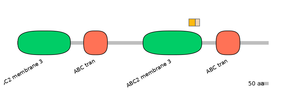 HsaINT0000430-EXC