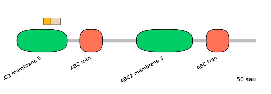HsaINT0000448-EXC