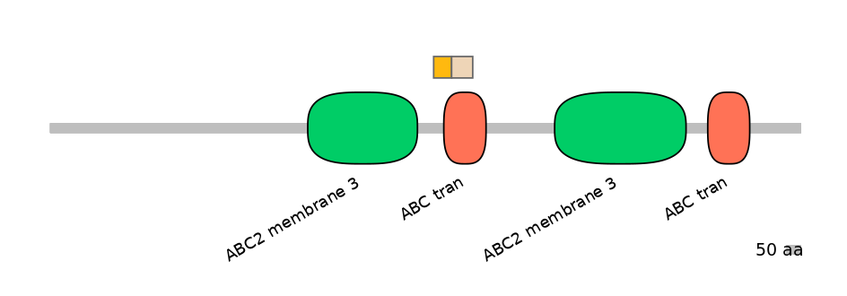 HsaINT0000463-EXC