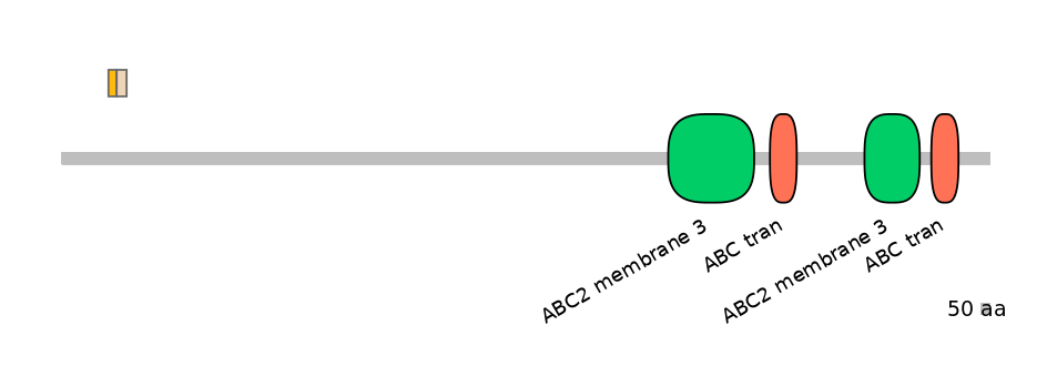 HsaINT0000561-EXC
