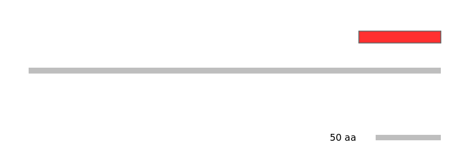 HsaINT0000561-INC