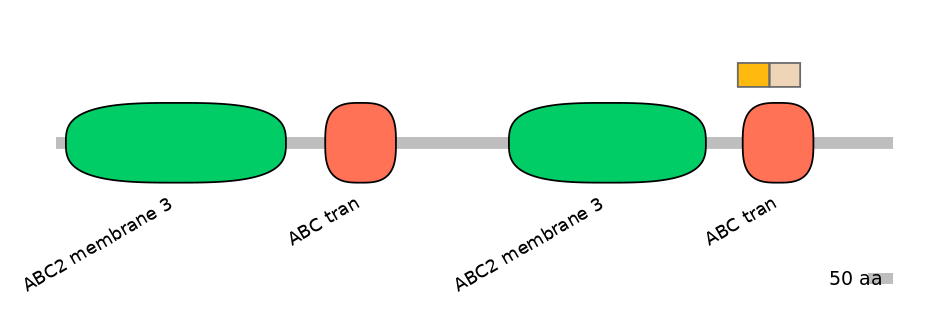 HsaINT0000647-EXC