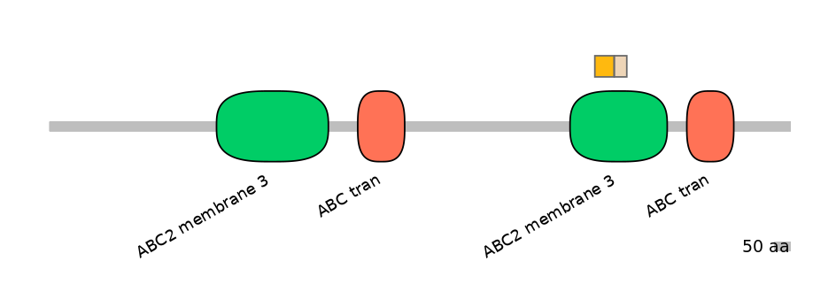 HsaINT0000688-EXC